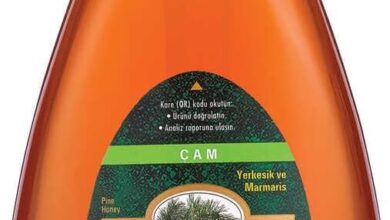 Balparmak Çıtkapak Çam Balı 600 Gr