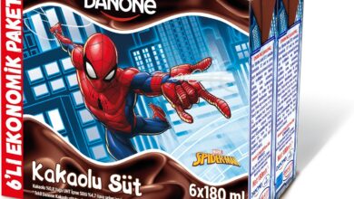 Danone Disney Kakaolu Süt 6X180 ML