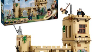 LEGO Harry Potter Hogwarts Şatosu: Uçuş Dersleri 76447