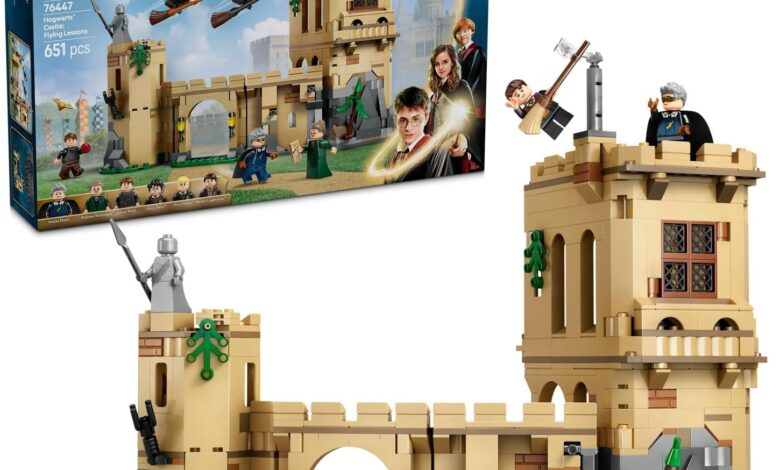 LEGO Harry Potter Hogwarts Şatosu: Uçuş Dersleri 76447