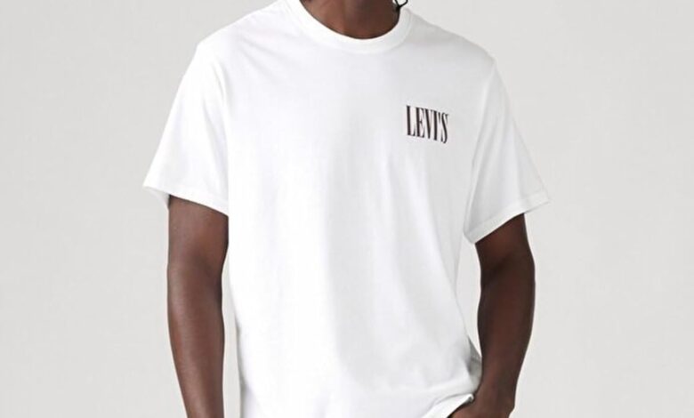 Levi's Relaxed Fit Graphic Tee Erkek Tişört