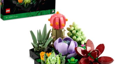 LEGO Botanicals Sukulentler 10309