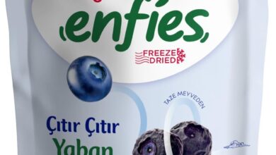 Yayla Enfies Freeze Dried Yaban Mersini