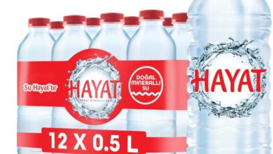 Hayat Doğal Mineralli Su (12 x 500 ml)