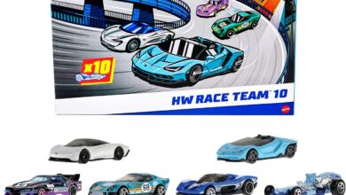 Hot Wheels®10'lu SEO Yarış Arabaları