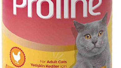 Proline Tavuklu Sos İçinde Gravy Yetişkin Kedi Konservesi 400 Gr