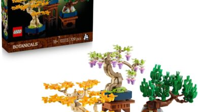 LEGO Botanicals Mini Bonsai Ağaçları 10373