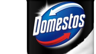 Domestos Köpük Gücü Derz Temizleyici 450 ml