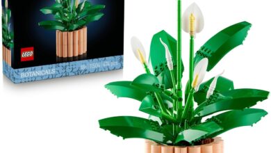 LEGO Botanicals Barış Çiçeği 11504