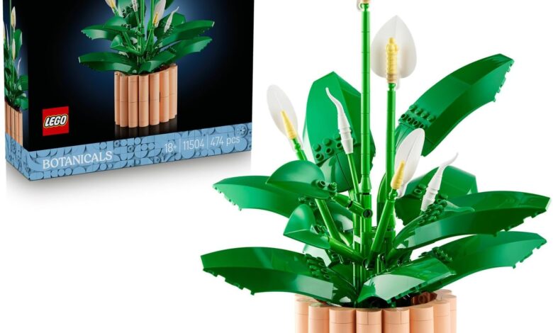 LEGO Botanicals Barış Çiçeği 11504